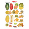 Dreamland Publications Educational Chart for Kids - Fruit Chart - 4