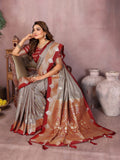 Anaita Grey Handloom Kalamkari Silk Saree With Zari Woven Work