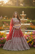 Anaita Red Net Lehenga Choli With Embroidery & Dori Sequence Work