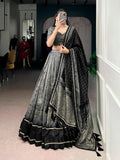 Lorenvalley Fashion Grey Tasar Silk Kalamkari Print With Lace Border Lehenga Choli with Dupatta
