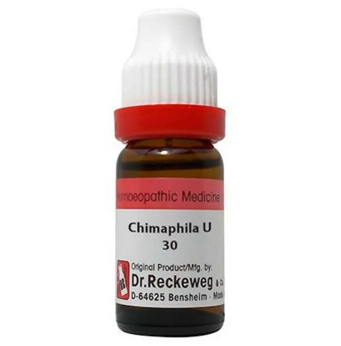 Dr. Reckeweg Chimaphila Umb Dilution
