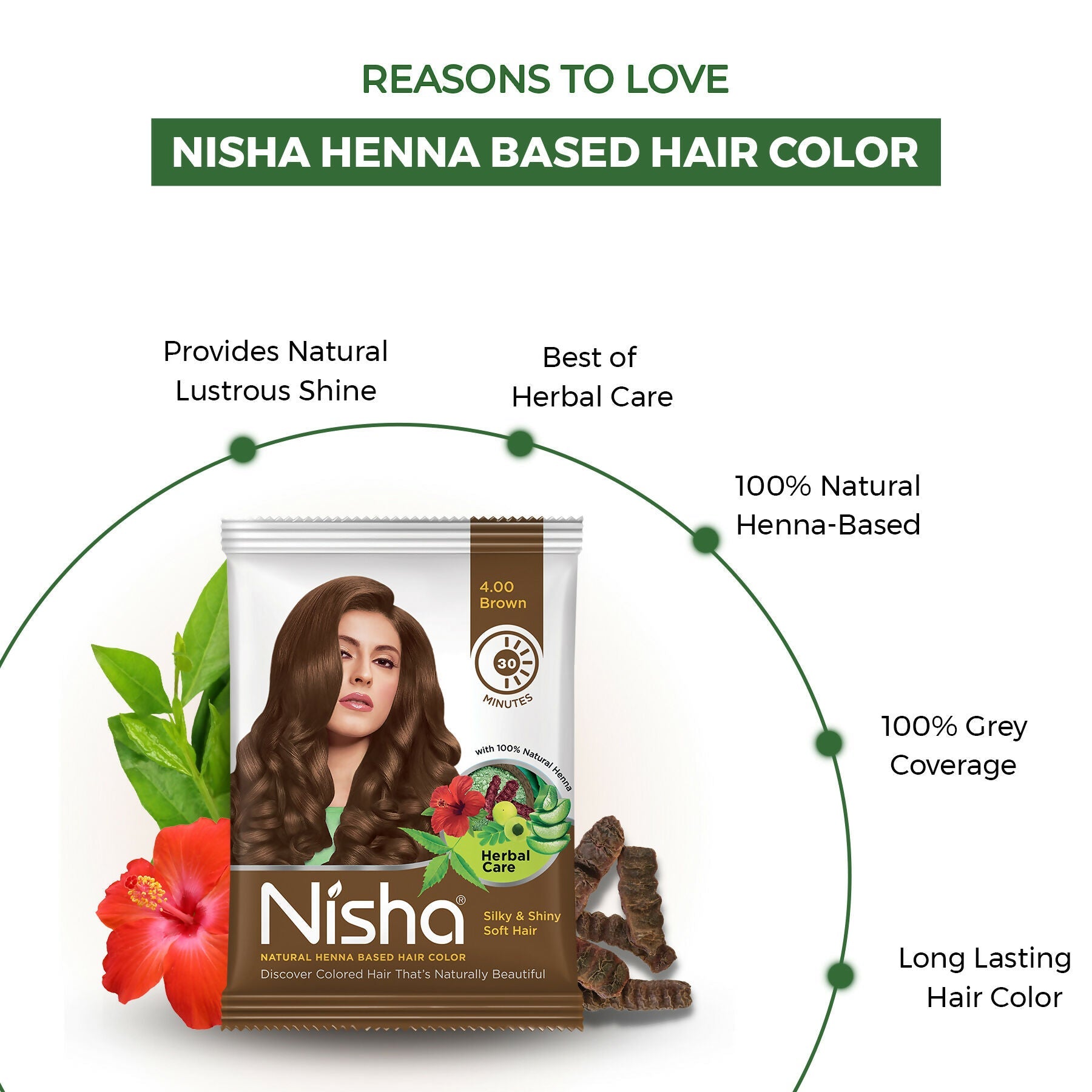 Nisha Henna Based Hair Colour for Women & Men Brown 4.0 (Pack of 10)