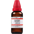 Dr. Willmar Schwabe India Cimicifuga Racemosa Dilution