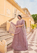 Anaita Purple Net Lehenga Choli With Embroidery & Sequence Work