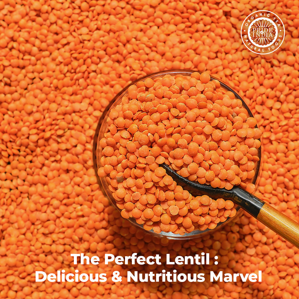 Indian Split Masur Red Lentils - Protein & Fiber Rich Masoor Dal Jar