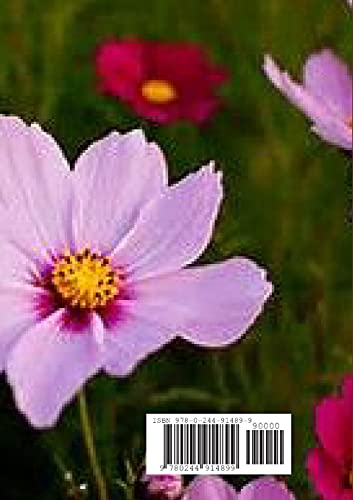 The Garden of the Prophet by Gibran, Khalil