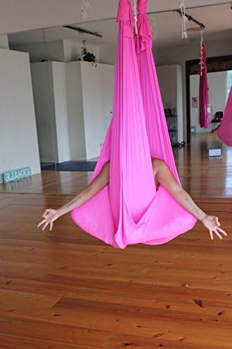 F.Life Aerial Silk Yoga Hammock & Swing for yoga Inversion,Strength training,starter hardware kit