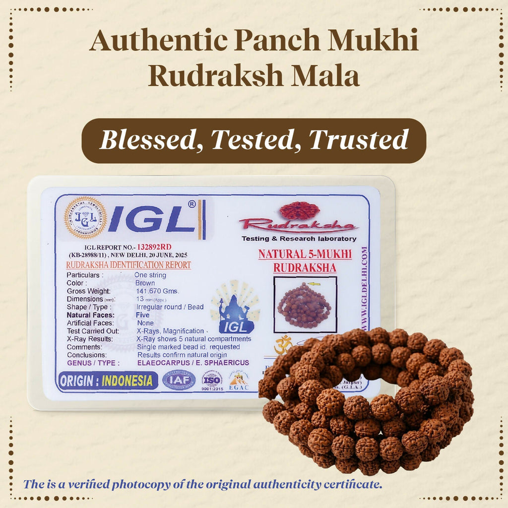 Pujashree Rudraksh Mala Medium 13mm – Divine Spiritual Beads for Puja, Yoga & Daily Meditation