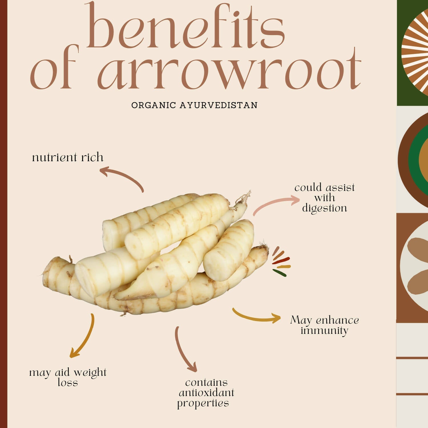 Organic Ayurvedistan Arrow Root Powder