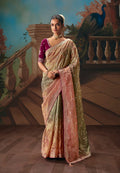 Monjolika Fashion Multicolor Fancy Fabric Saree With Embroidered Work