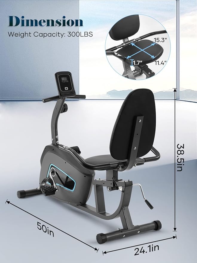 Exercise Bike Recumbent Exercise Bike for Home Stationary Bike Sturdy Quiet 8 Levels Large Comfortable Seat Heart Rate Handle & Device Holder 300 LB Weight Capacity