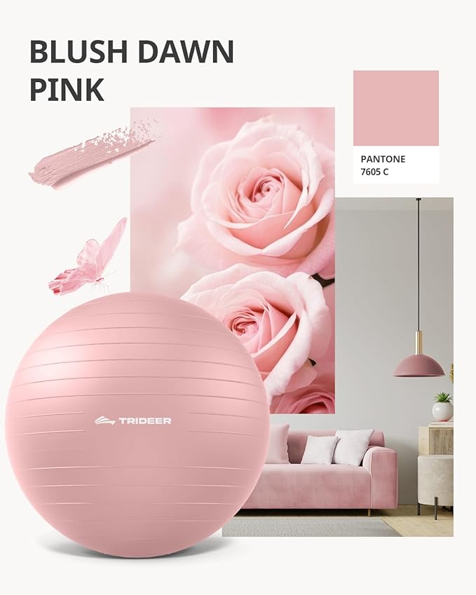 Trideer Yoga Ball – Anti-Burst Exercise Ball for Pregnancy, Office, Birthing, Stretching & Core Workout – Home Gym & Therapy