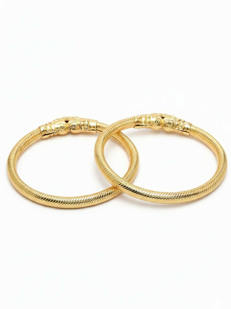 NVR Women Set of 2 Gold Plated Traditional Kada Bangle