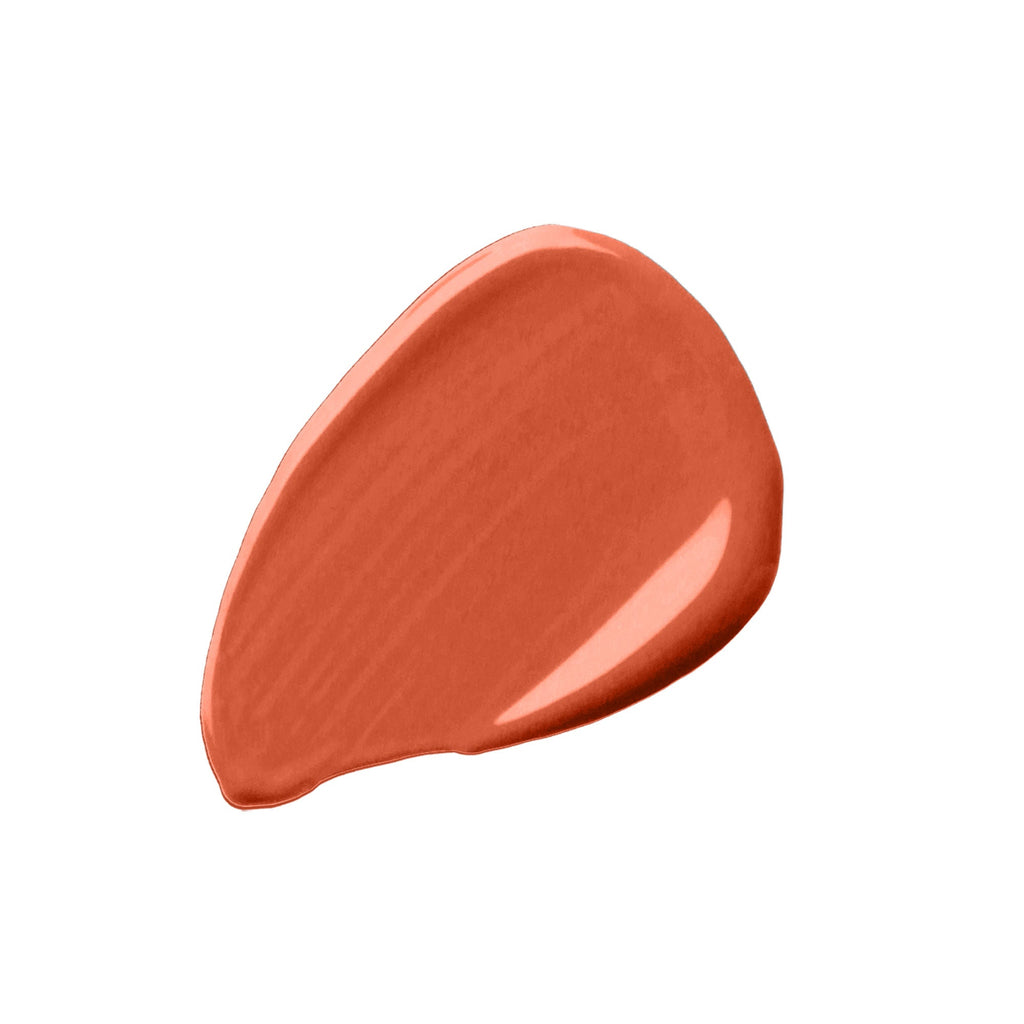 Swiss Beauty Cover & Hide Concealer - 10 Orange Corrector