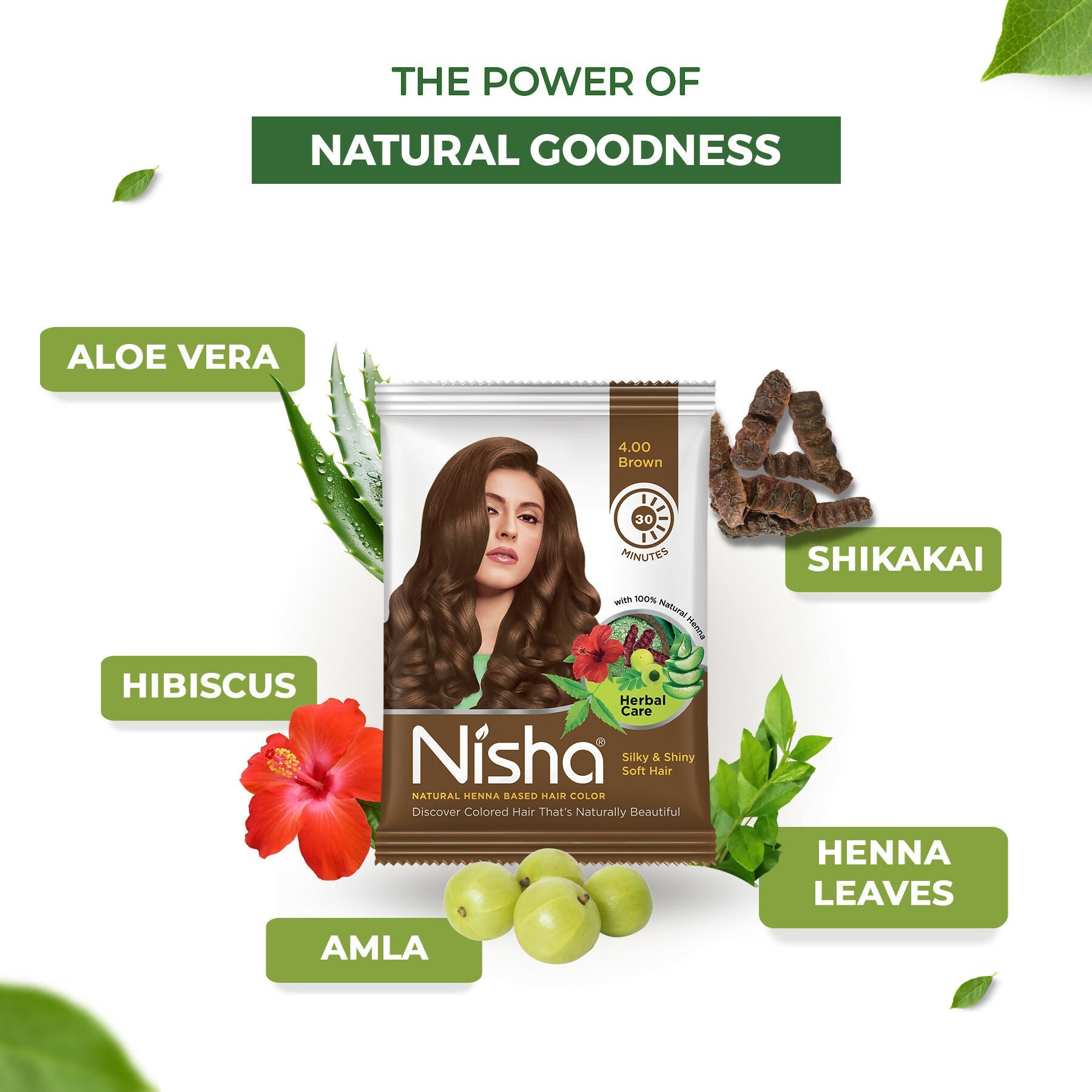 Nisha Henna Based Hair Colour for Women & Men Brown 4.0 (Pack of 10)