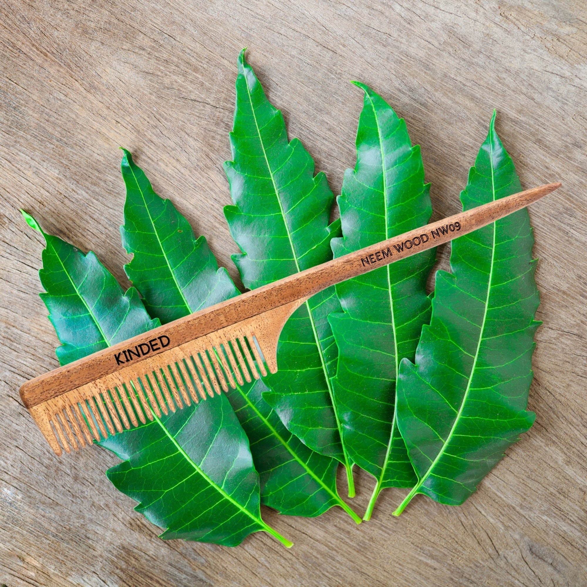 KINDED Handmade Oil Treated Wooden Hair Comb - Neem Wood NW09, Regular Tooth Tail Comb