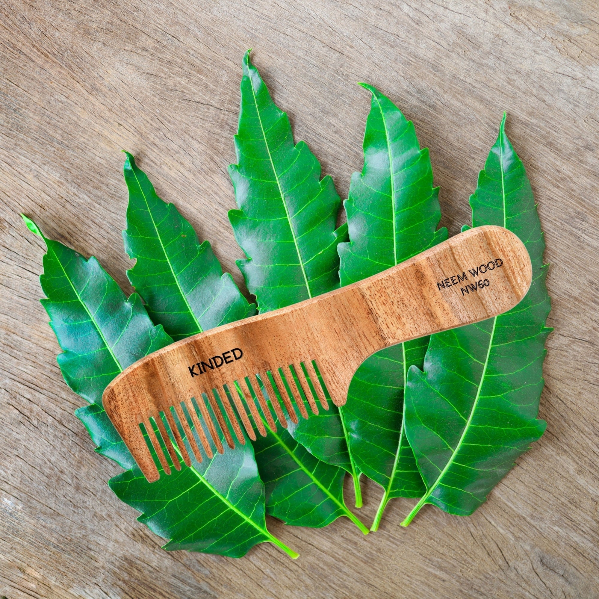 KINDED Handmade Oil Treated Wooden Hair Comb - Neem Wood NW60, Regular Tooth Comb with Handle