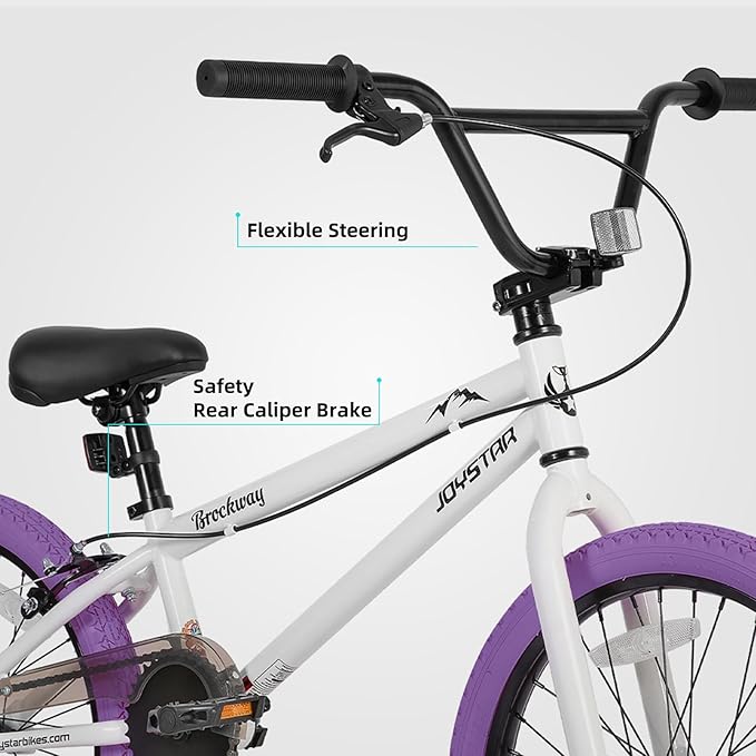 JOYSTAR Brockway Freestyle Kids BMX Bikes 20" 24" Kids Bicycles for 6-14 Years Old Boys Girls and Beginner-Level Riders 2 Pegs Multiple Colors