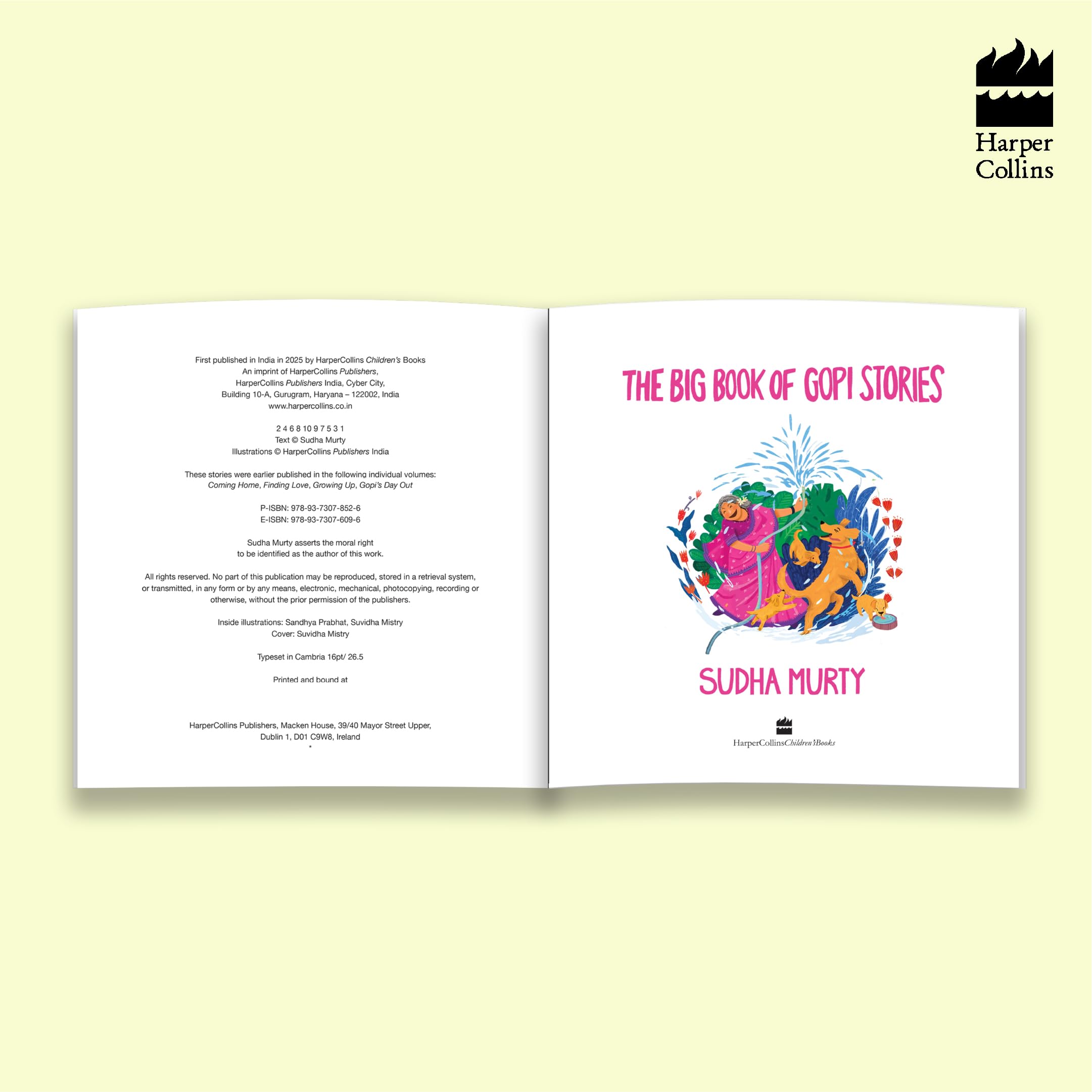 The Big Book Of Gopi Stories: The Gopi Diarie By Sudha Murty