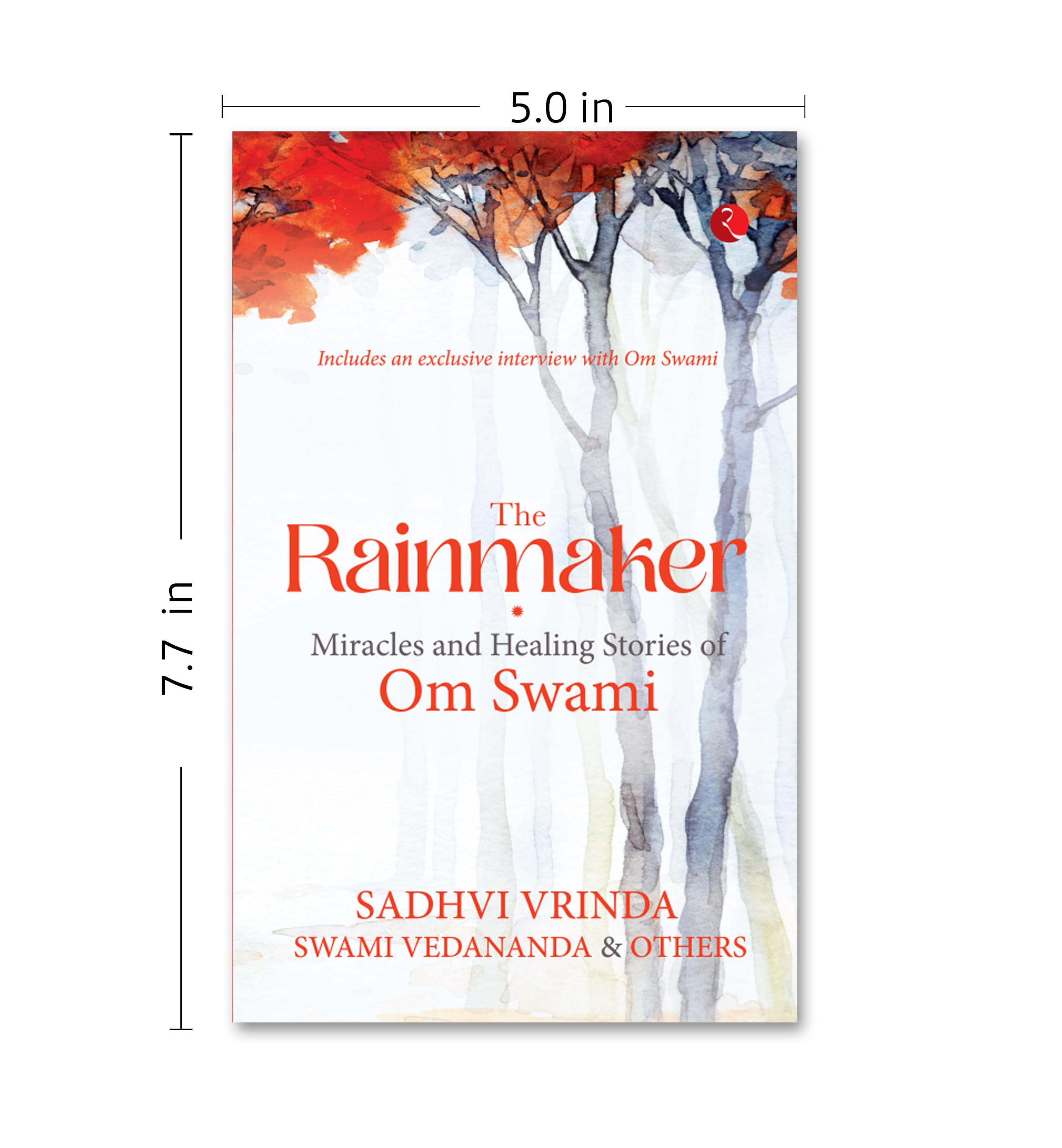 The Rainmaker: Miracles And Healing Stories Of Om Swami