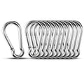 Small Carabiner Clip Hooks, 10pcs 1.57 inch Carabiners Heavy Duty, 304 Stainless Steel Spring Snap Hook Fits Camping Hiking, Metal Clips for Rope Chain Keys Rings