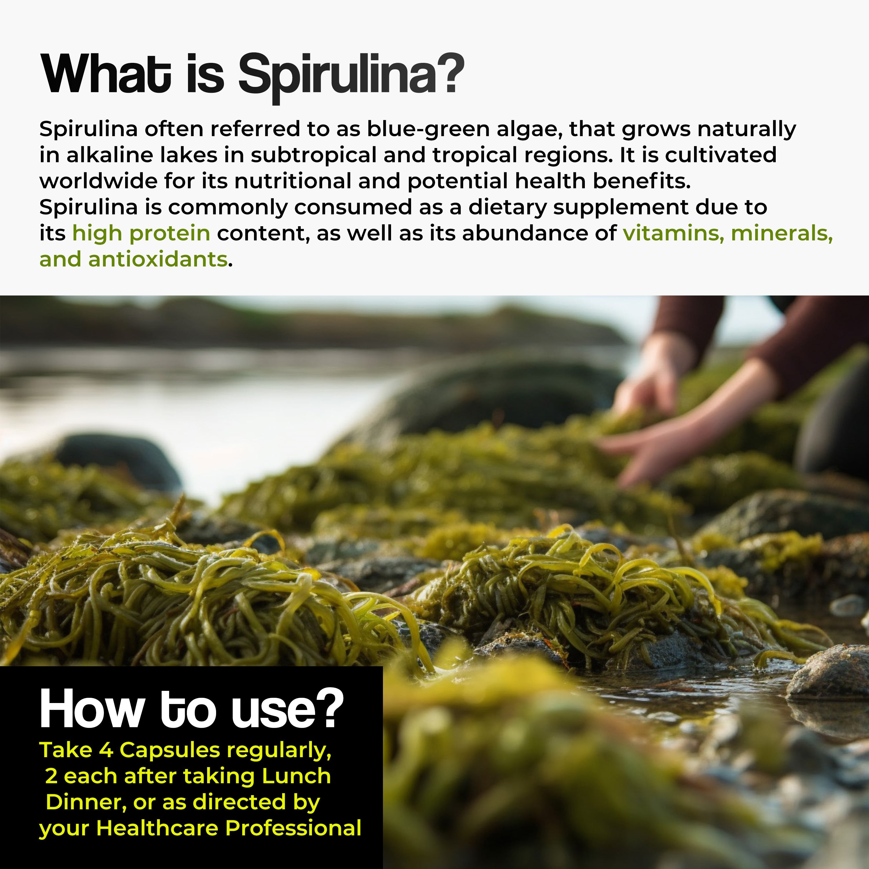 Health Veda Organics Spirulina Capsules