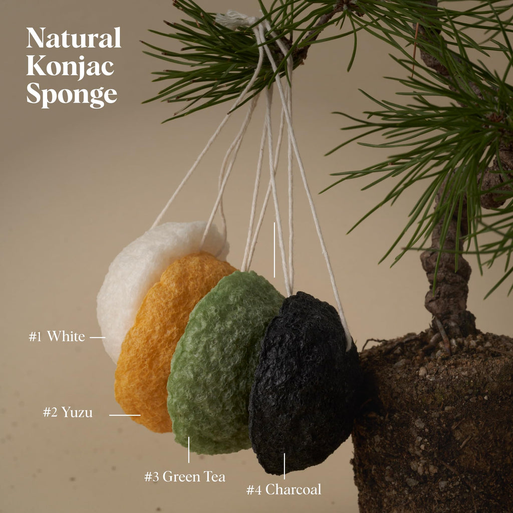 ILEM JAPAN Natural Konjac Sponge Face (White)
