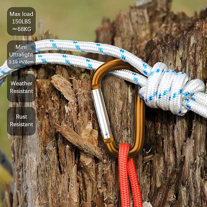 sprookber 3" Aluminum Carabiner D Ring, Caribeener Clips, Spring Snap Hook for Keychain Clip, Set of 10