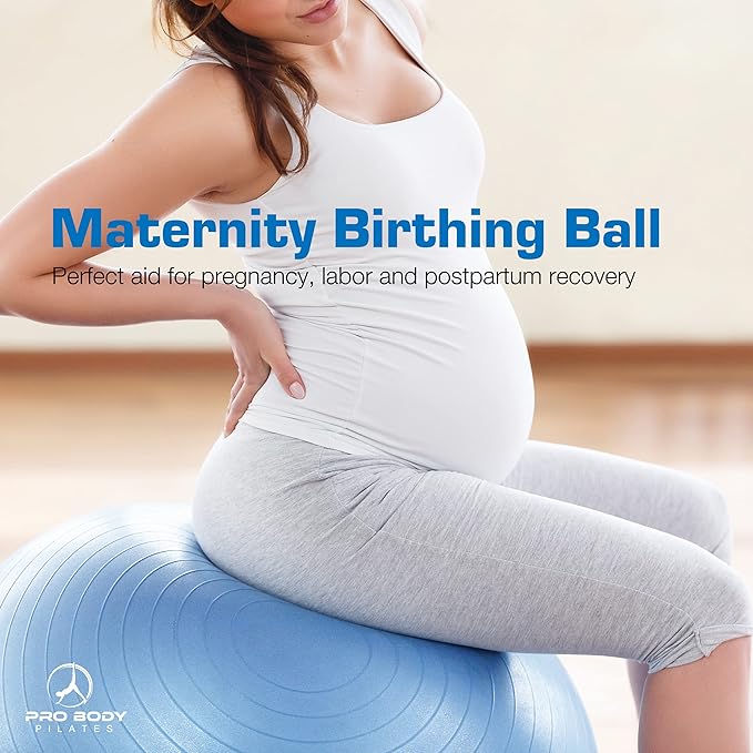 ProBody Pilates Yoga Ball Chair, Exercise Ball Chair with Base or Stand for Home Office Desk Sitting or Workout, 65cm Antiburst Balance & Stability Ball Seat, Large Gym Ball for Back, Abs