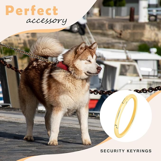 10Pack 1-1/2" Large Round Carabiner Clips, Metal Spring O Rings for Organizer Key Rings, Paracord Keychain Lanyard, Pet Chains, Purse Hardware, Key Snap Hooks DIY Accessory (Gold)