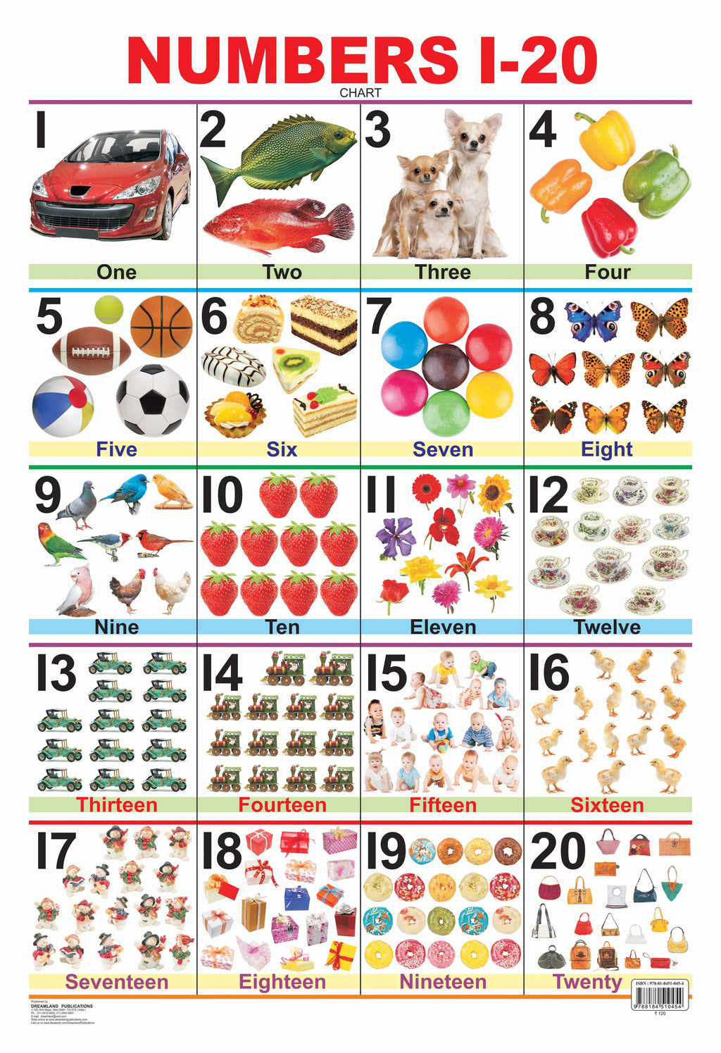 Dreamland Publications Educational Chart for Kids - Numbers 1-20