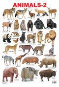 Dreamland Publications Educational Chart for Kids - Animals-2