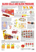 Dreamland Publications Educational Chart for Kids - The Blood Group, Cells & Pressure
