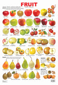 Dreamland Publications Educational Chart for Kids - Fruit Chart - 1