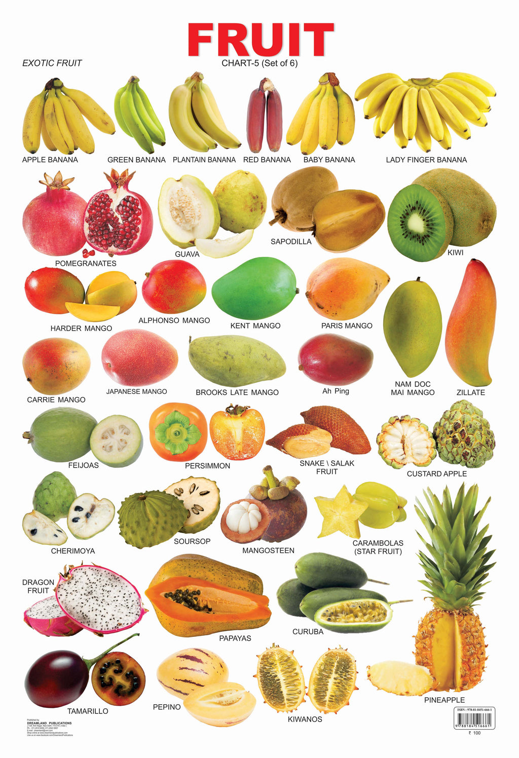 Dreamland Publications Educational Chart for Kids - Fruit Chart - 5