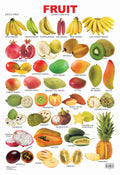 Dreamland Publications Educational Chart for Kids - Fruit Chart - 5