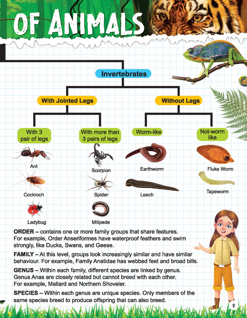 Dreamland Publications Explore Animal Kingdom Encyclopedia : Children's Reference Book