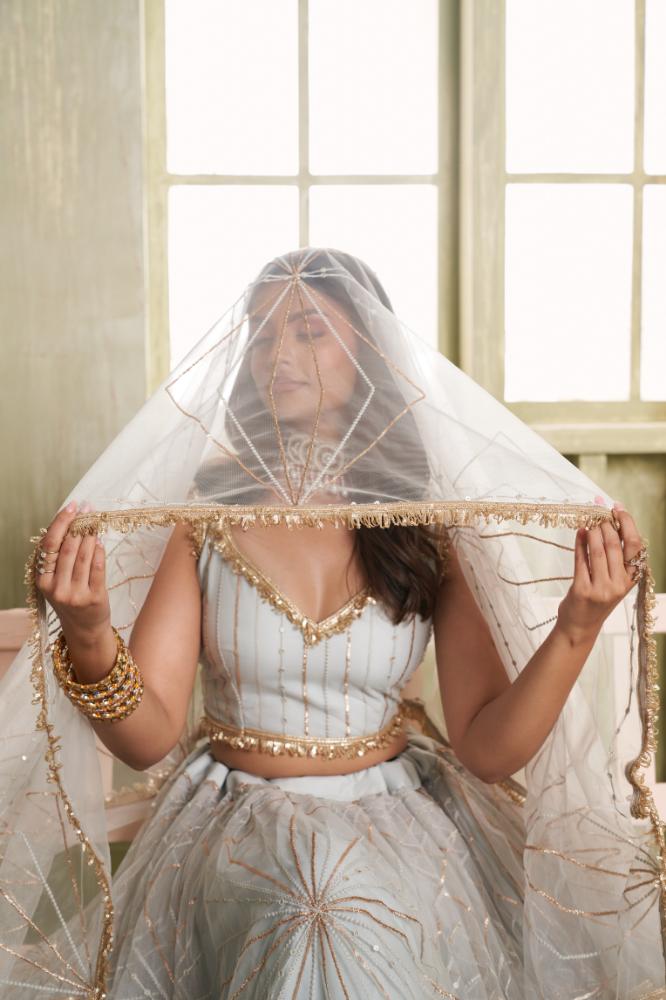 Aastha Fashion Light Gray Butterfly Net Tone To Tone Cotton Thread Work And Sequence Work Embroidery Wedding Wear Lehenga Choli