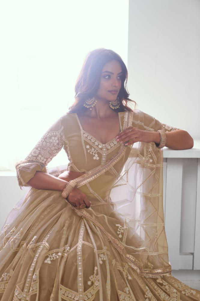 Aastha Fashion Chiku(Beige) Butterfly Net White Cotton Thread Work And Sequence Work Embroidery Wedding Wear Lehenga Choli