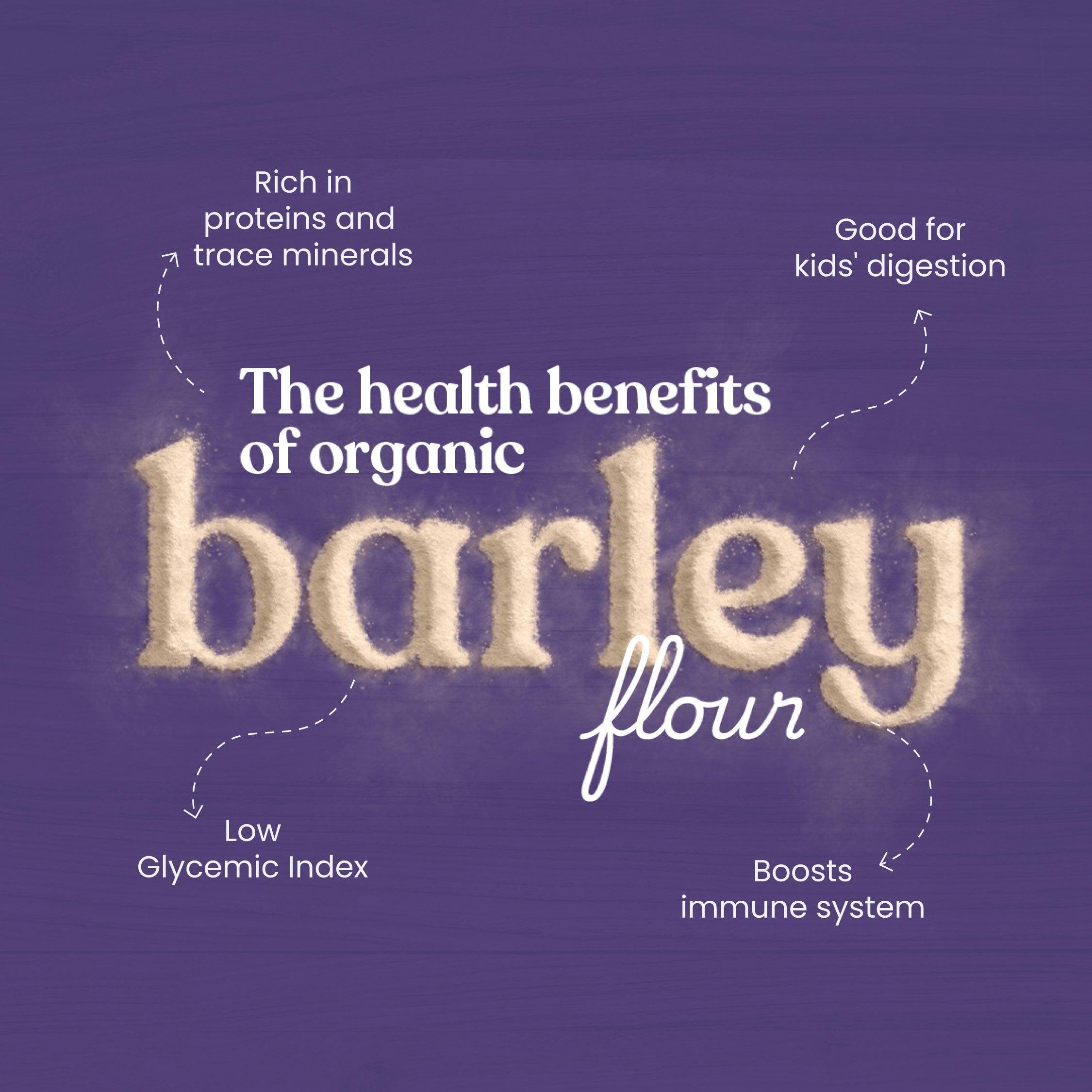 Bharat Vedica Organic Barley Flour | Stone-Ground & Fresh