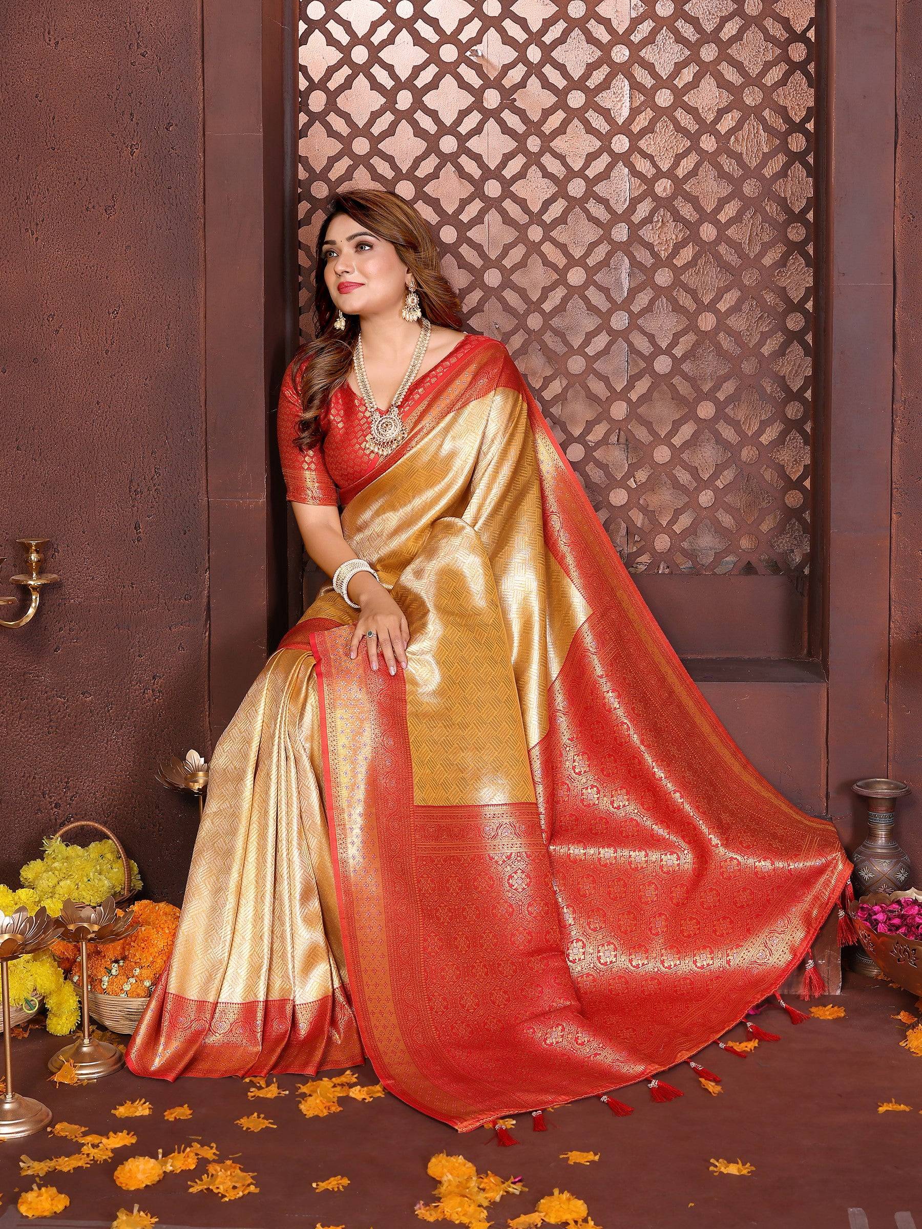 Anaita Banarasi Tissue Silk Saree