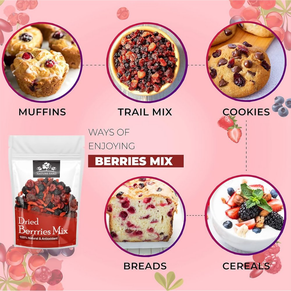 Nature Yard Berries mix without sugar - Mix of Dried Cranberry, Blueberry, Goji berry & Strawberry Dry fruits