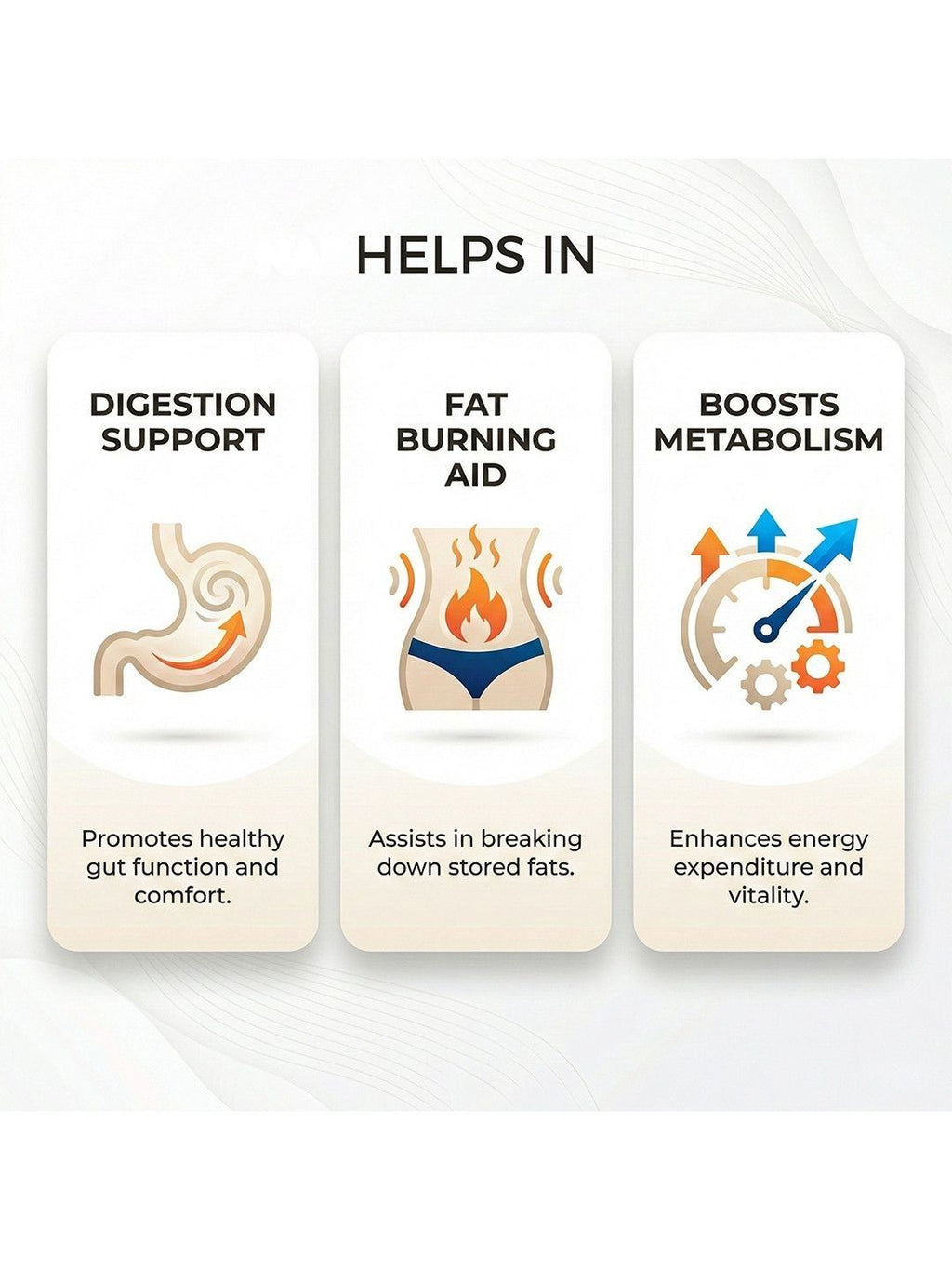 Ved Sanjeevani Digestion & Detox Nabhi Oil
