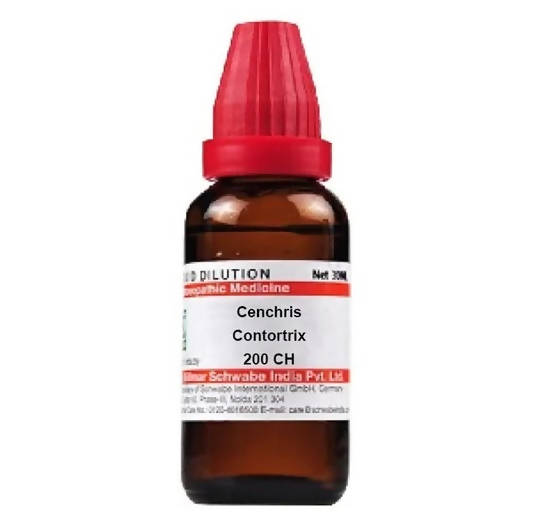 Dr. Willmar Schwabe India Cenchris Contortrix Dilution