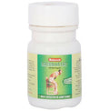 Baidyanath Jhansi Rheumartho With Salai Guggulu