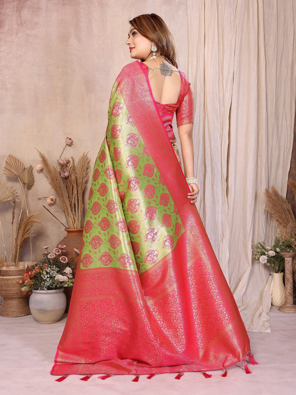 Anaita Banarasi Tissue Silk Saree