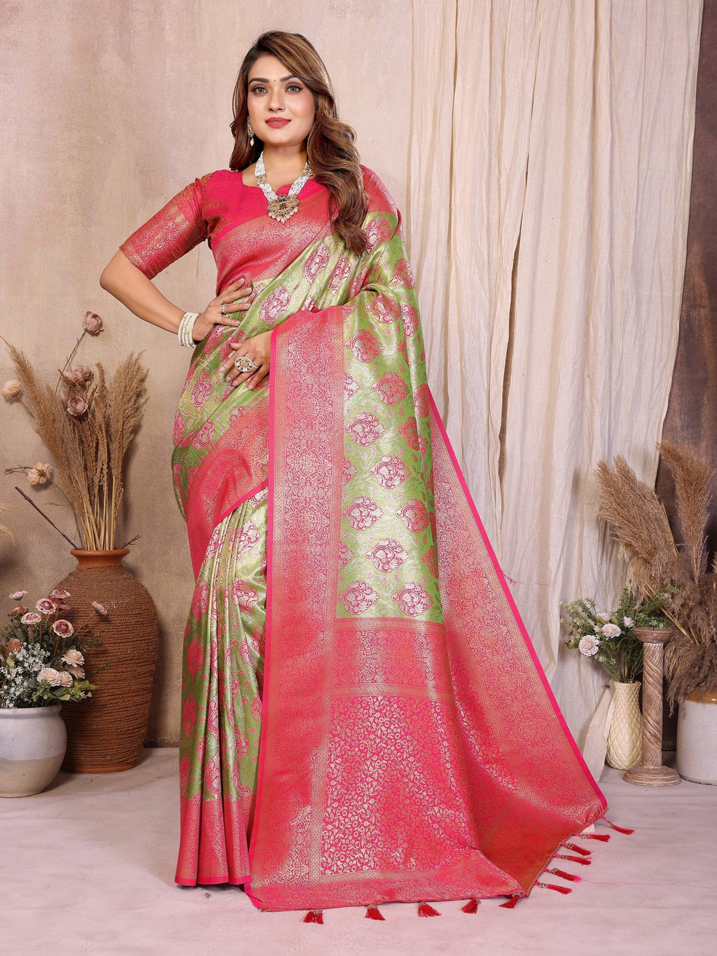 Anaita Banarasi Tissue Silk Saree
