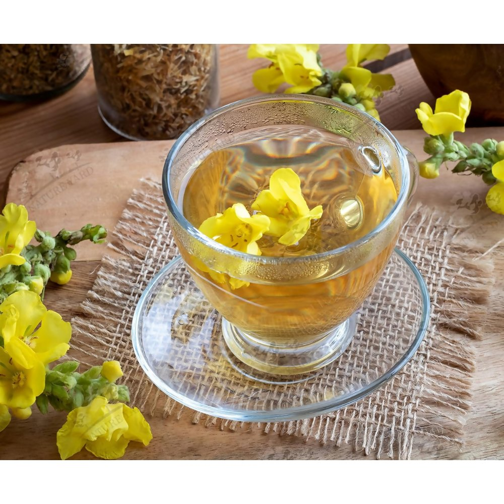 Nature Yard Mullein Tea