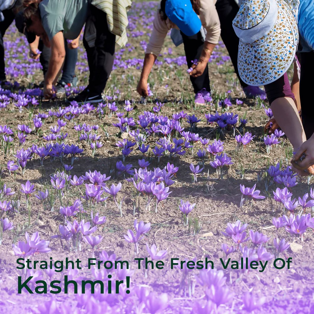 Organic Mandya Kashmiri Saffron
