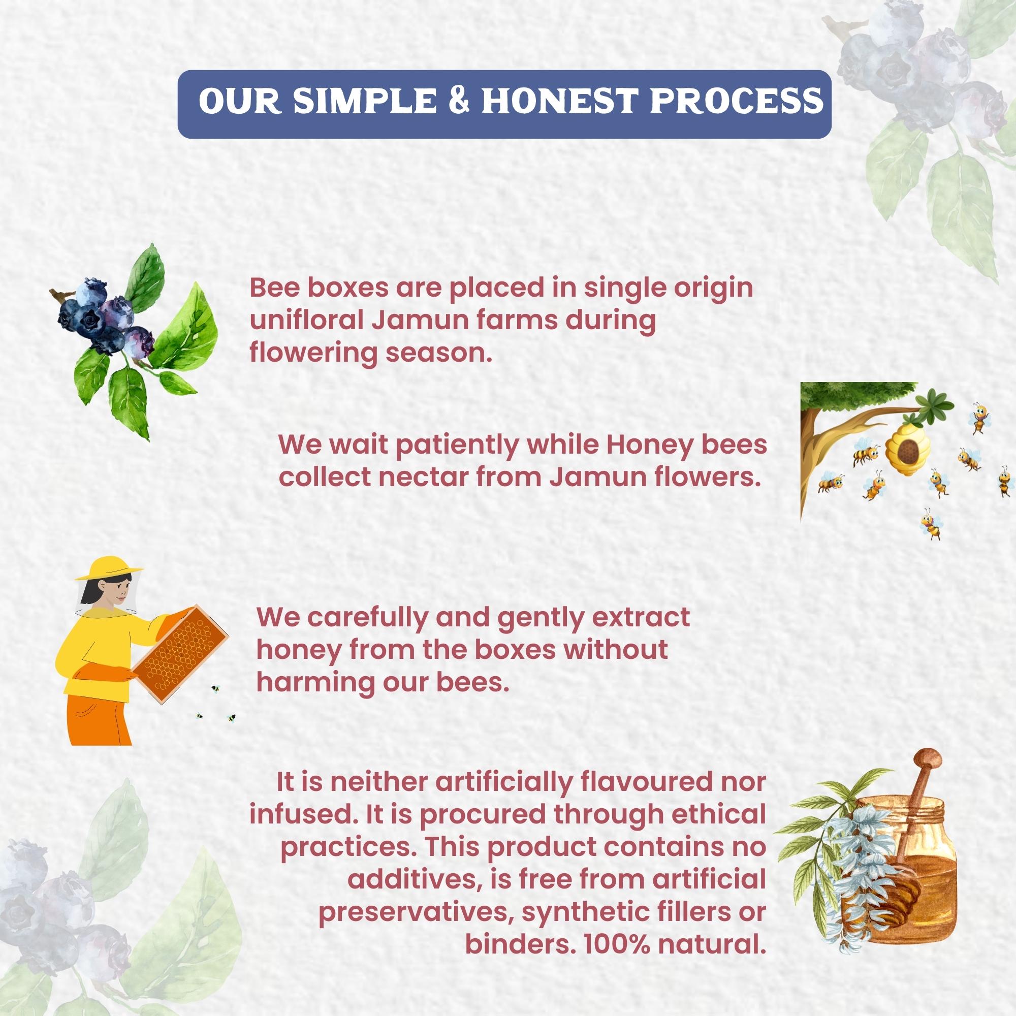 Vediko Origins Raw Jamun Honey